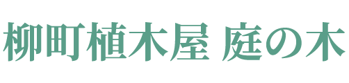 柳町植木屋 庭の木